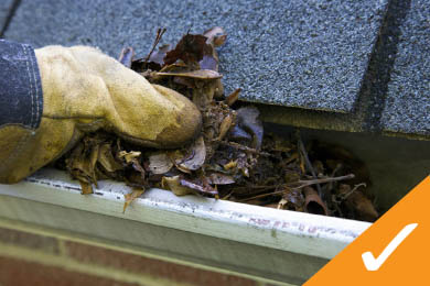 Cleaning Leaves our of Gutters